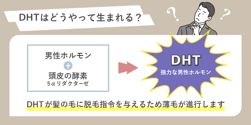 DHTはどうやって生まれる？