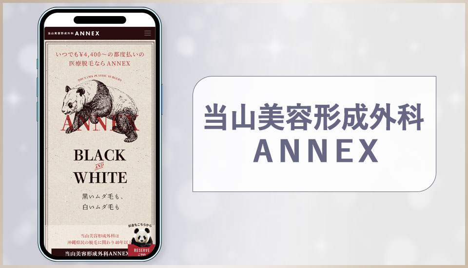 当山美容形成外科ANNEXの公式サイトの画像