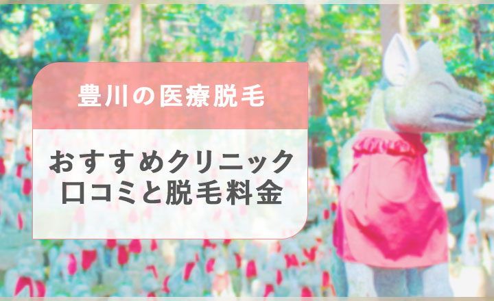 豊川の医療脱毛クリニックの口コミと脱毛料金