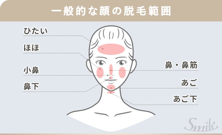 顔の脱毛範囲